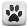 Captcha image 2714